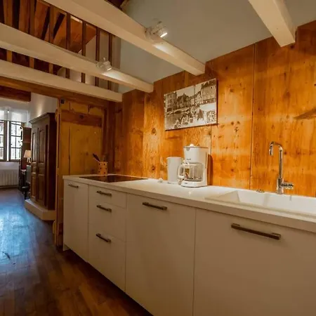 Le Rousseau Appartement Annecy